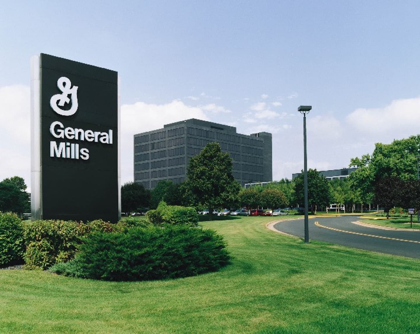 General mills in the Argentina